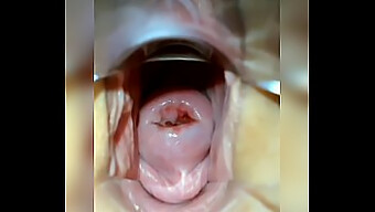 Mírala Exponer Completamente Su Vagina En Este Video De Masturbación En Solitario