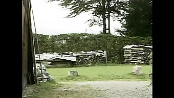 Le Avventure In Bosco E In Autostrada Di Heidi Con Il Suo Gruppo